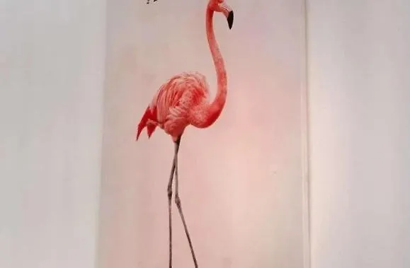 Vcv Loft 103 * 大加那利岛拉斯帕尔马斯